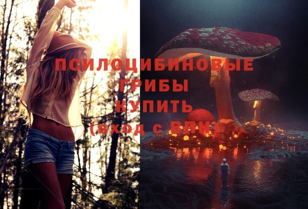 мяу мяу мука Верея
